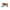 Limited Edition Spalted Maple Royal 7 Hunting Knife With Cross Draw Sheath 26-221