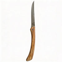 Folding Fillet Knife